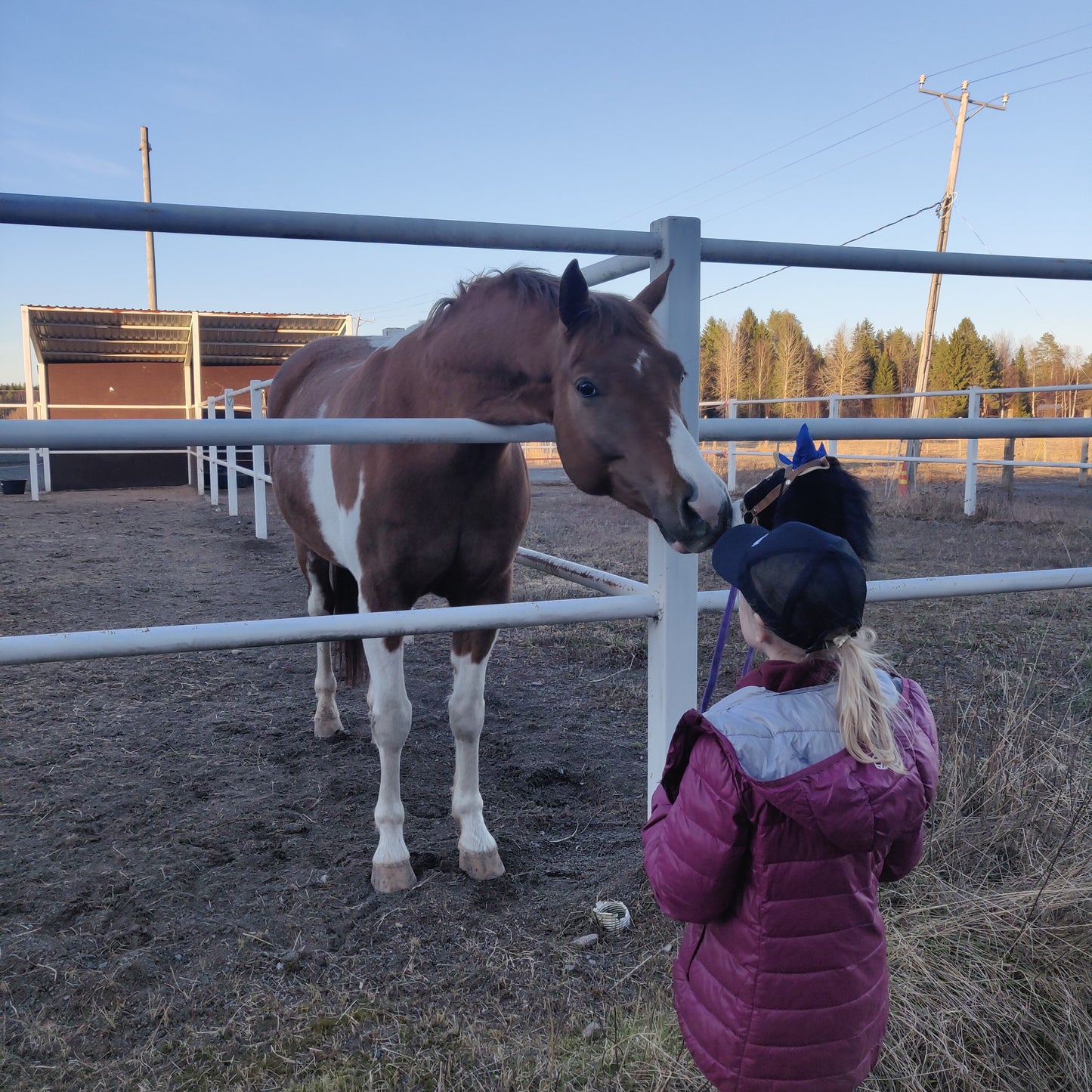 Poni-ja tallikoulu