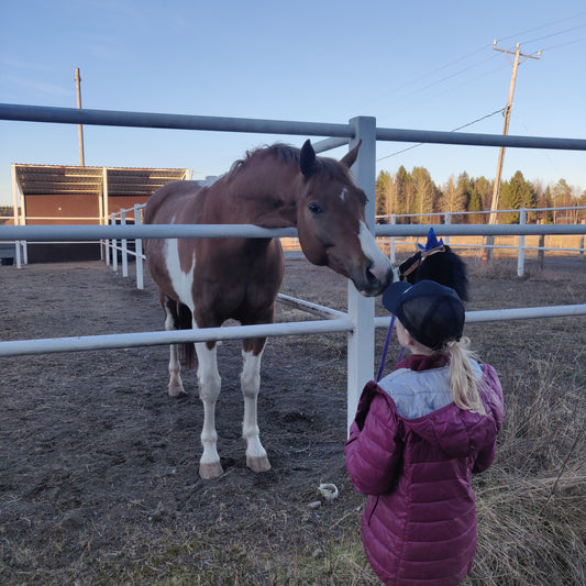 Lasten hevospuuhat -tallikerho