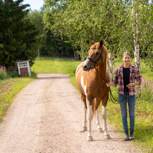 Kurssi: Minustako hevosenomistaja?